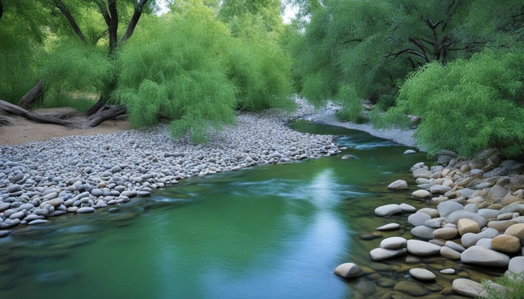 Nilwala River natural aquatic habitat